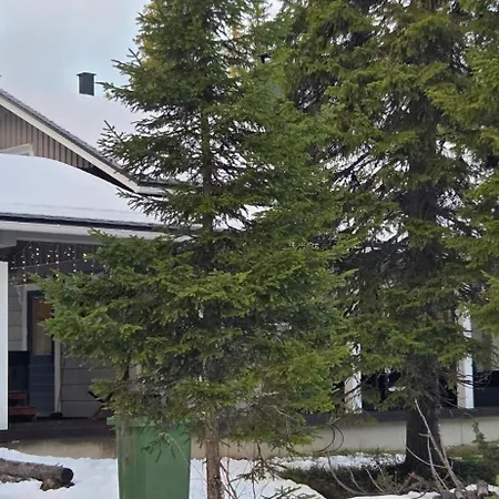 Huvilat Wellamo Iso-Syöte
